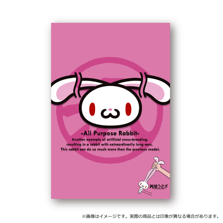 汎用うさぎまとめ売り 汎用うさぎ まとめ売り 汎用うさぎ まとめ売り【国内正規品】